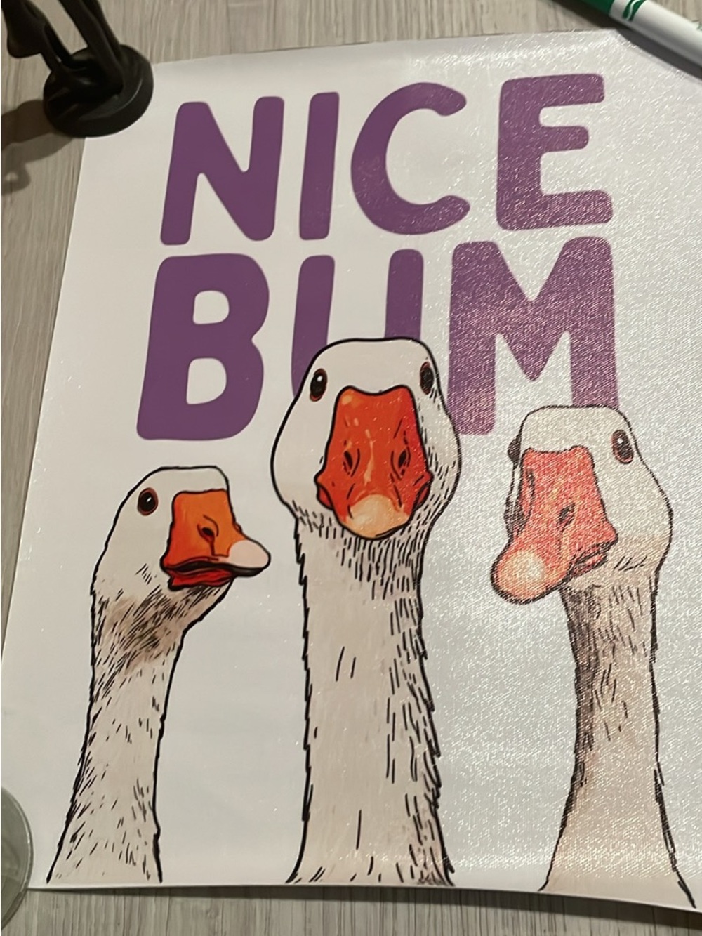 Nice Bum Duck Bathroom Art